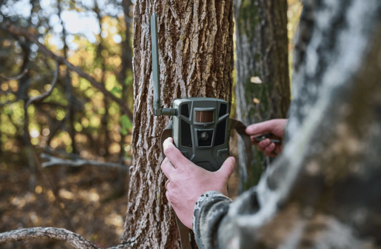Cabela's Cellular Trail Camera hunting